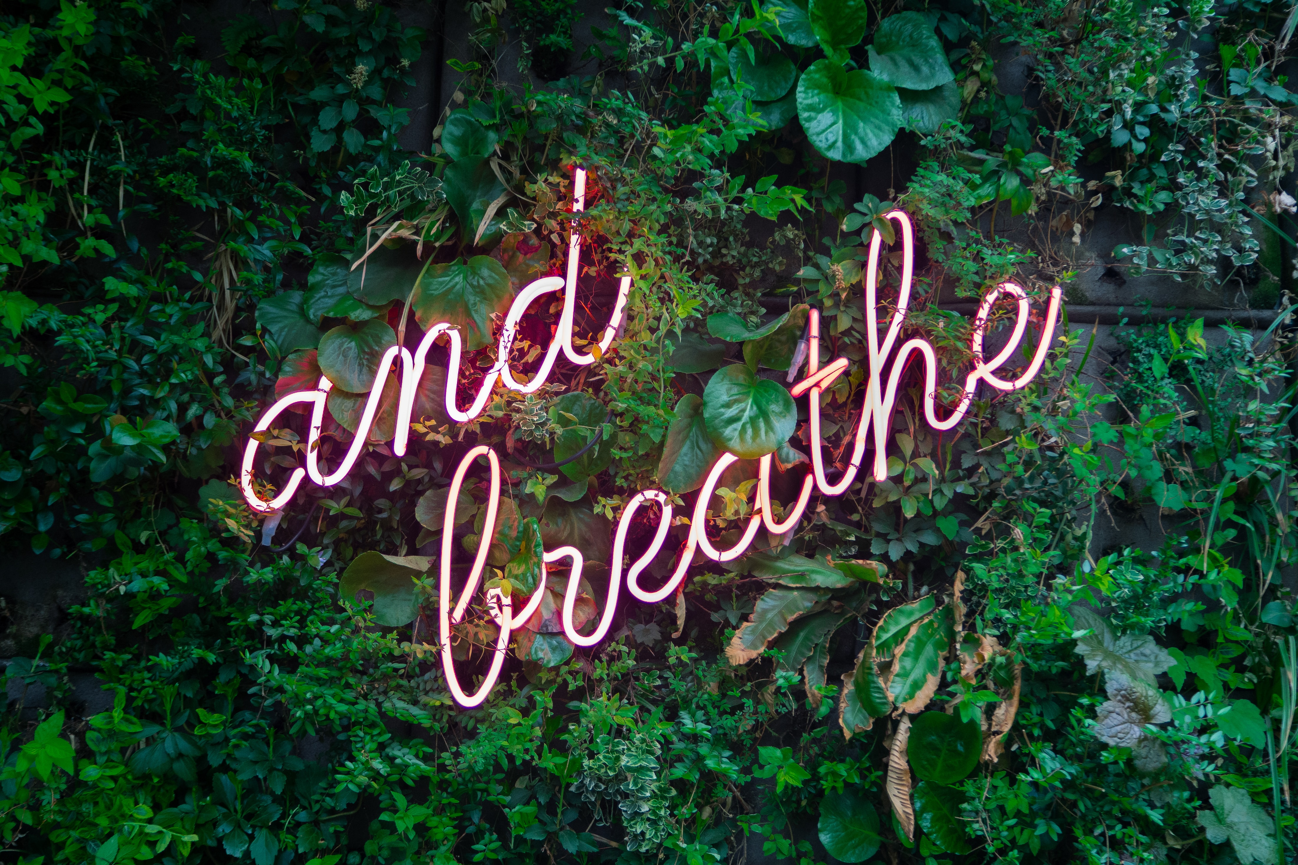 self care ideas relaxing